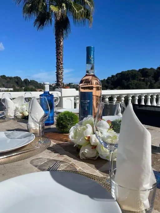 Superbe Villa A Antibes Avec Piscine Dans Un Quartier Calme France