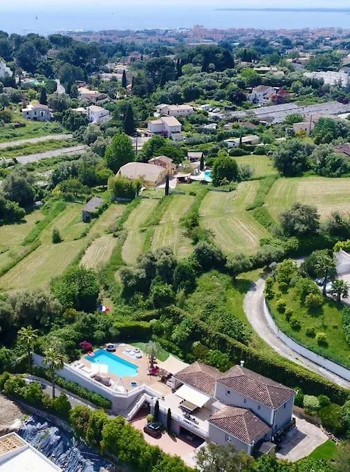 Superbe Villa A Antibes Avec Piscine Dans Un Quartier Calme France